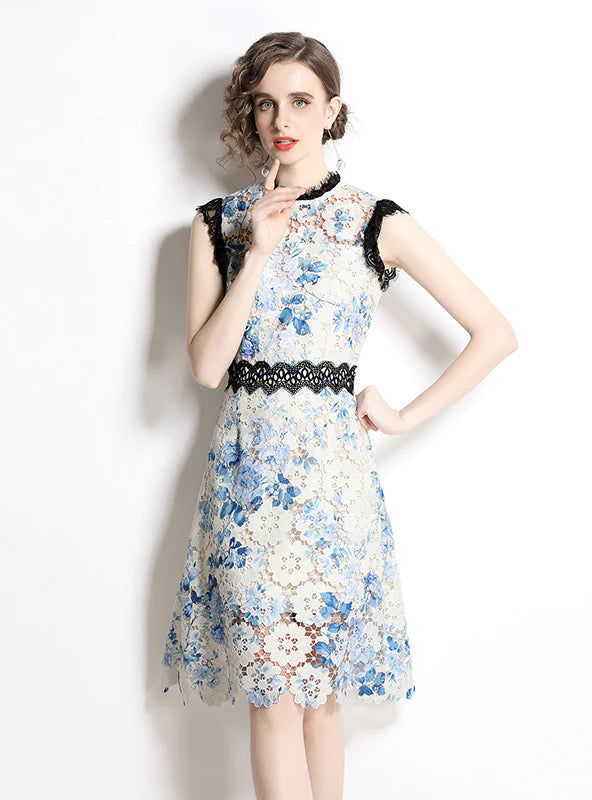 LACE ROUND NECK SLEEVELESS LACE DRESS